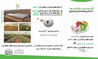 اینفوگرافی| نهضت توسعه گلخانه ها در استان چهارمحال وبختیاری 